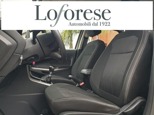 FORD EcoSport usata, con Fendinebbia