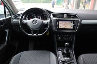 VOLKSWAGEN Tiguan usata, con Vetri oscurati