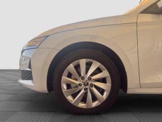 SKODA Octavia usata 14