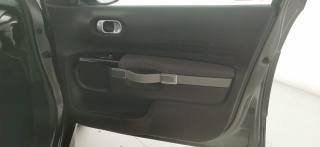 CITROEN C4 Cactus usata 45