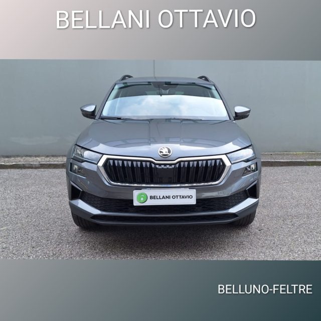 SKODA Karoq usata, con Airbag
