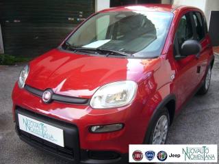 FIAT Panda 1.0 FireFly S&S Hybrid Pandina Urban Radio Km 0