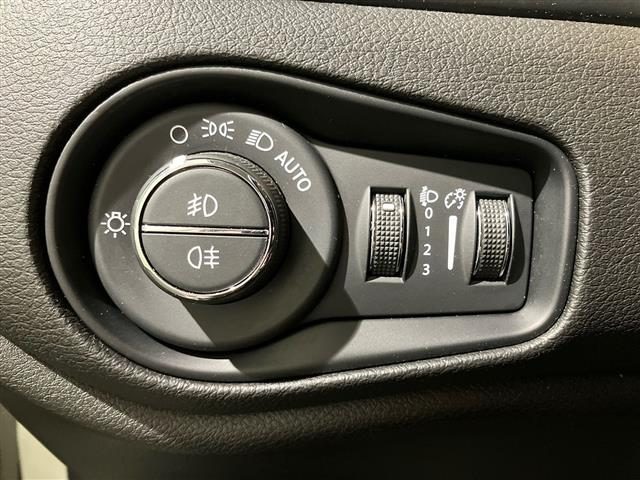 JEEP Renegade usata 18