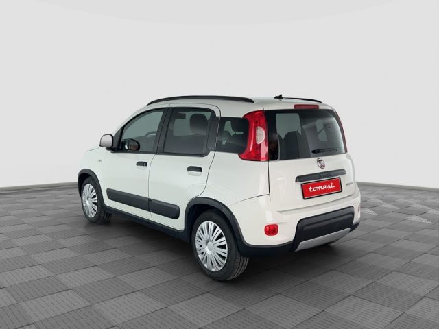 FIAT Panda usata 2