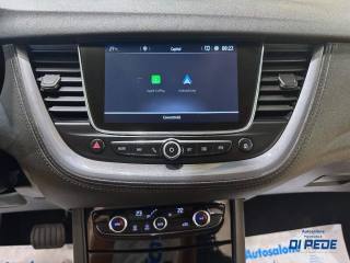 OPEL Grandland X usata, con Vetri oscurati