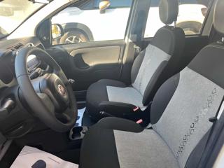 FIAT Panda usata, con Climatizzatore