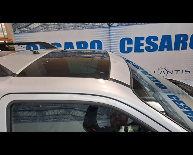 LAND ROVER Freelander usata 11