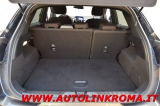 FORD Puma usata, con Bracciolo