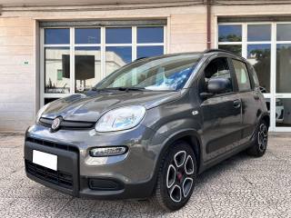 FIAT Panda usata 25
