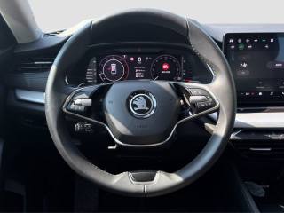 SKODA Octavia usata 12