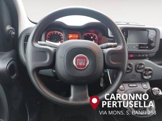 FIAT Panda usata, con Immobilizzatore elettronico