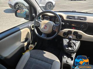 FIAT Panda usata 17