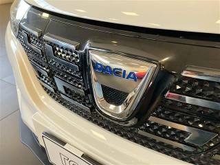 DACIA Spring usata 23
