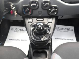 FIAT Panda usata 18