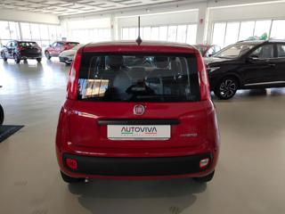 FIAT Panda usata, con Antifurto