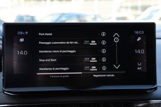PEUGEOT 3008 usata, con Vivavoce