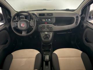 FIAT Panda usata 3
