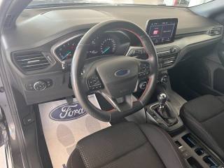 FORD Focus usata, con Vetri oscurati