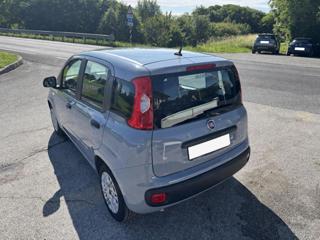 FIAT Panda usata, con Alzacristalli elettrici