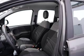 FIAT New Panda usata 9