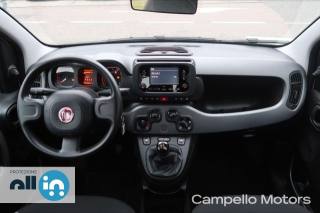 FIAT Panda usata 6