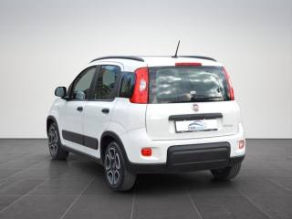 FIAT Panda usata, con Antifurto