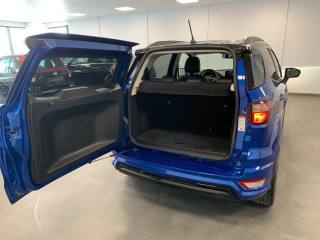 FORD EcoSport usata, con Park Distance Control