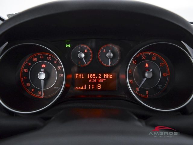 FIAT Punto usata 12