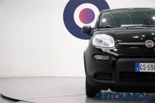 FIAT Panda usata 43