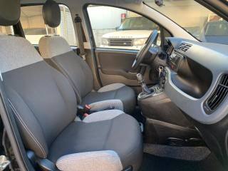 FIAT Panda usata, con Controllo trazione