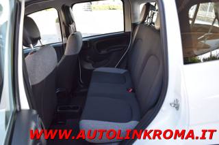 FIAT Panda usata 15