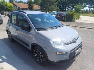 FIAT Panda usata, con Controllo trazione