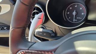 ALFA ROMEO Stelvio usata, con Leve al volante
