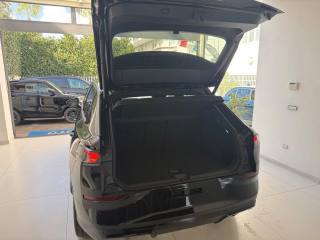 VOLKSWAGEN T-Roc usata, con Cronologia tagliandi