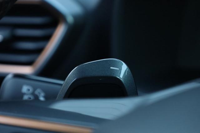 CUPRA Formentor usata, con Immobilizzatore elettronico