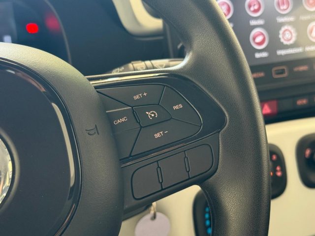 FIAT Panda Cross usata, con Specchietti laterali elettrici
