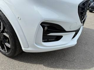 FORD Puma usata, con Fendinebbia
