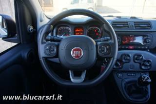 FIAT Panda usata, con Immobilizzatore elettronico