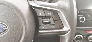 SUBARU XV usata, con Limitatore di velocità