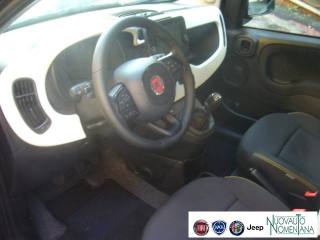 FIAT Panda Cross usata, con Volante in pelle