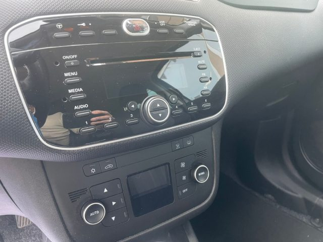 FIAT Punto usata 13