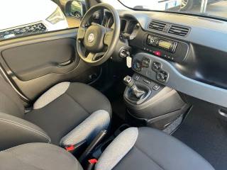 FIAT Panda usata, con Immobilizzatore elettronico