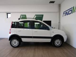 FIAT Panda usata, con Trazione integrale