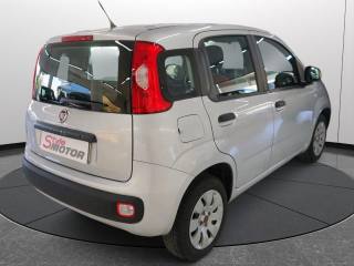 FIAT Panda usata 20