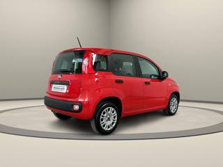 FIAT Panda usata, con Boardcomputer