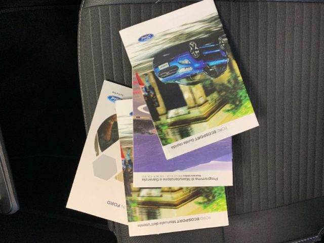 FORD EcoSport usata, con Bracciolo