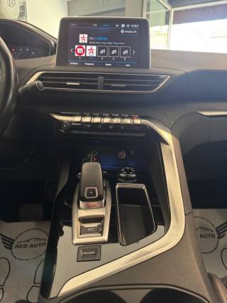 PEUGEOT 3008 usata, con Cronologia tagliandi