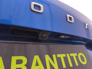 SKODA Octavia usata, con Leve al volante