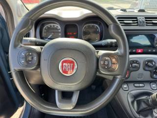 FIAT Panda Cross usata, con Cruise Control