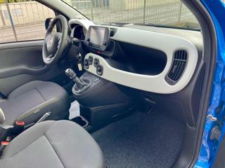 FIAT Panda usata, con Cruise Control